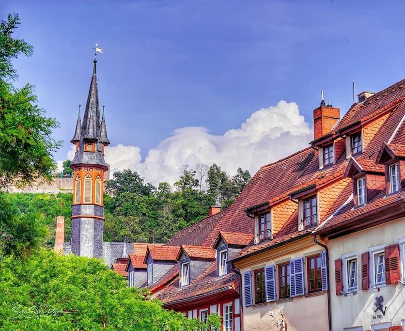 Ferienwohnung Zwischen Weinheim Und Hemsbach ภายนอก รูปภาพ