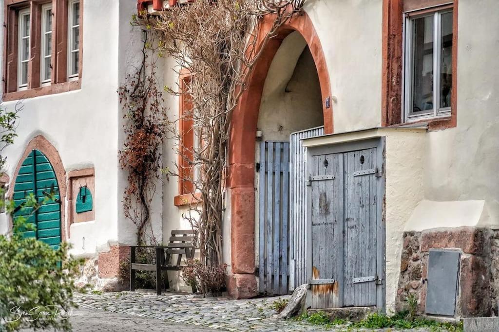Ferienwohnung Zwischen Weinheim Und Hemsbach ภายนอก รูปภาพ